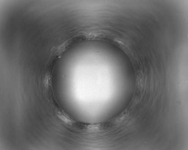 X0000060790574200512011709