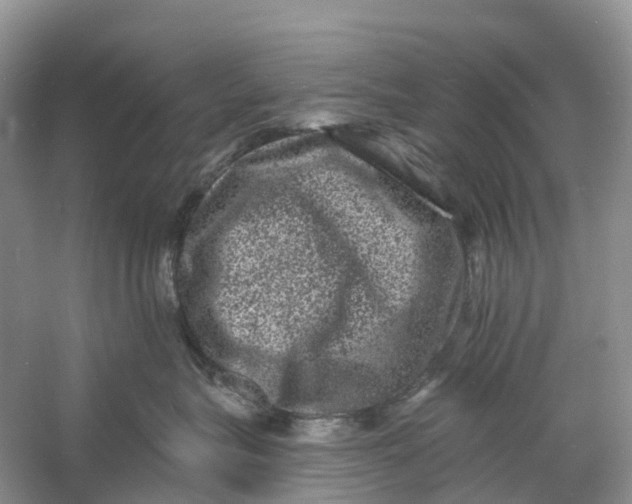 X0000060790575200512011709