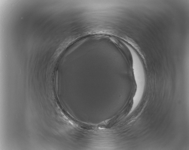 X0000060790577200512011708