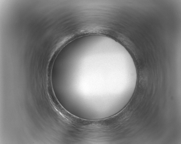 X0000060790578200512011708