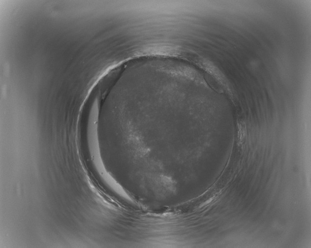 X0000060790580200512011708