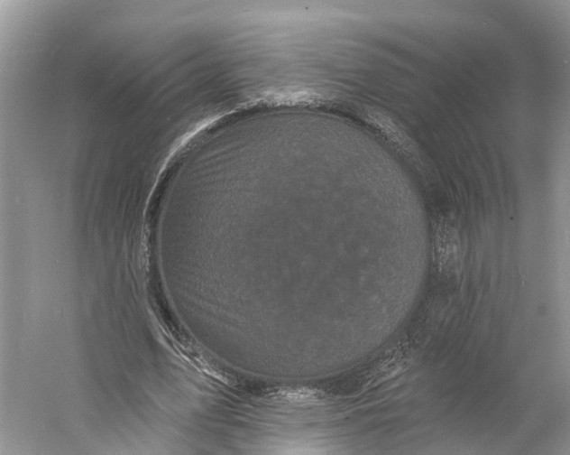 X0000060790583200512011708