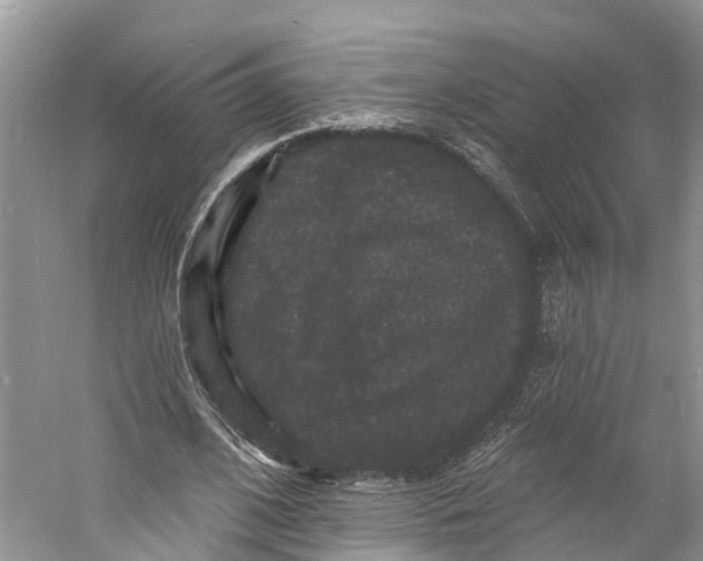 X0000060790584200512011708