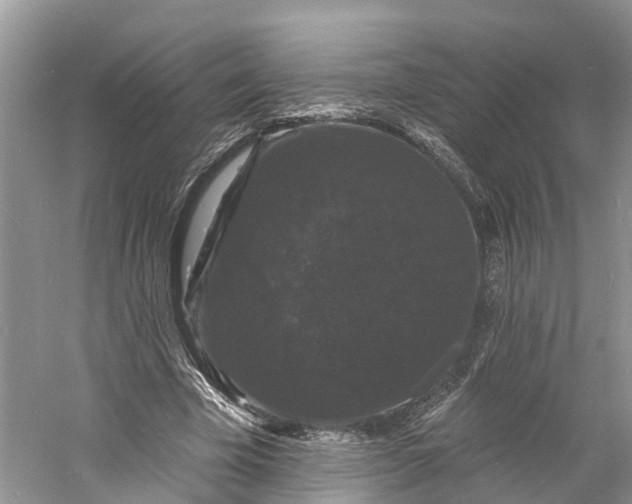 X0000060790585200512011708