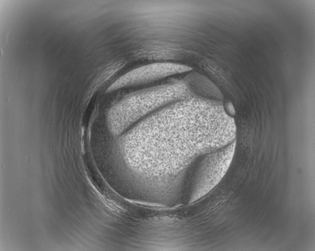 X0000060790586200512011708