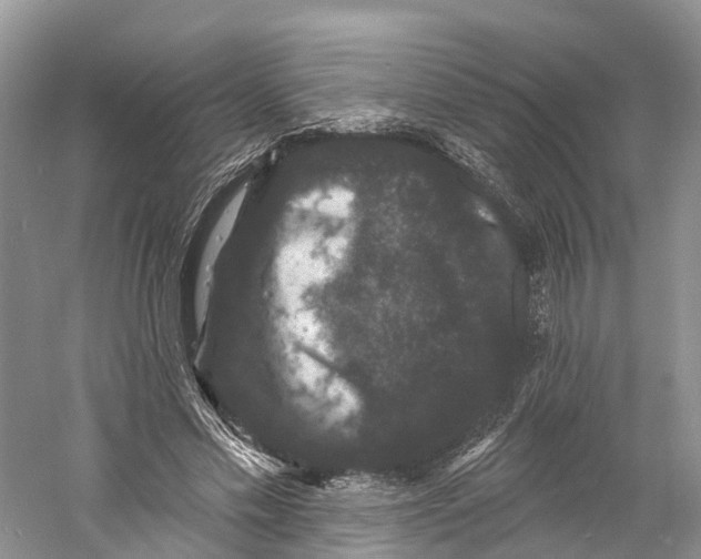 X0000060790589200512011708