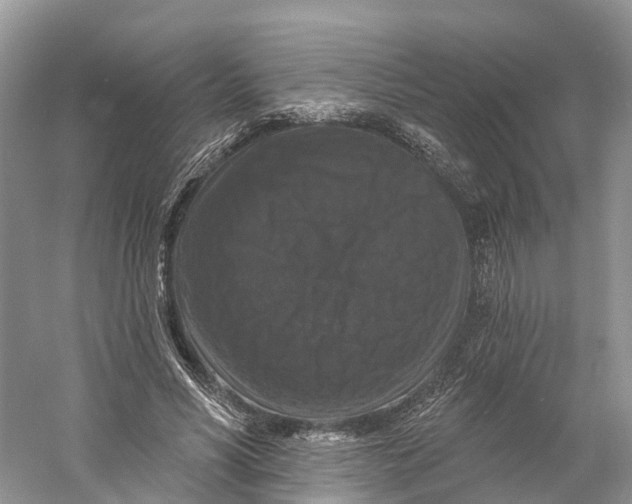 X0000060790590200512011708