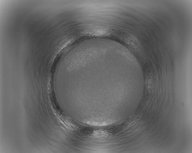 X0000060790591200512011708