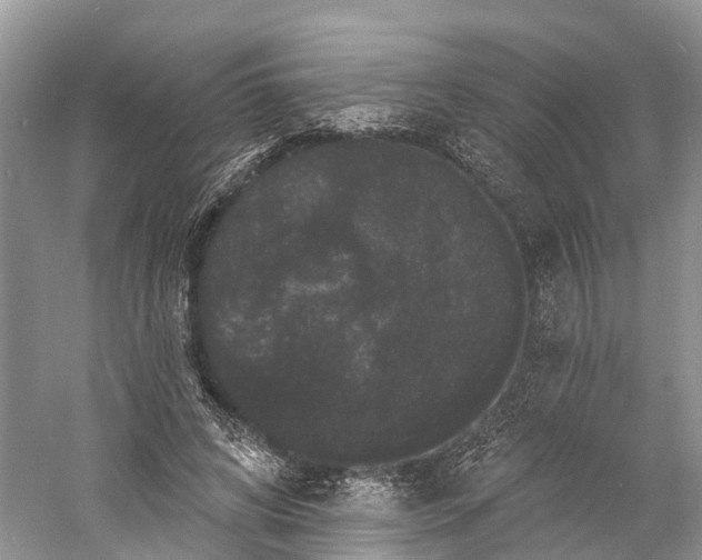 X0000060790592200512011708