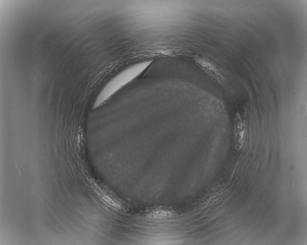 X0000060790593200512011708