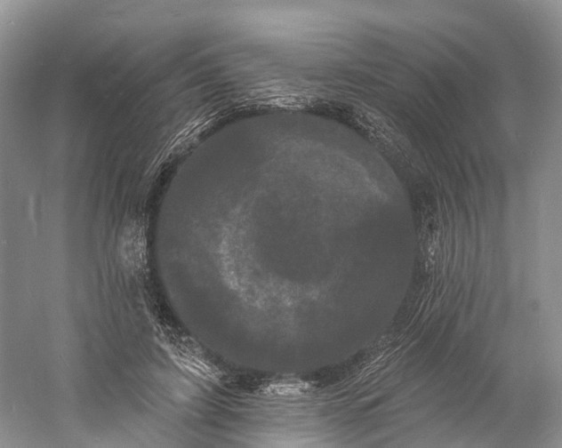 X0000060790595200512011708