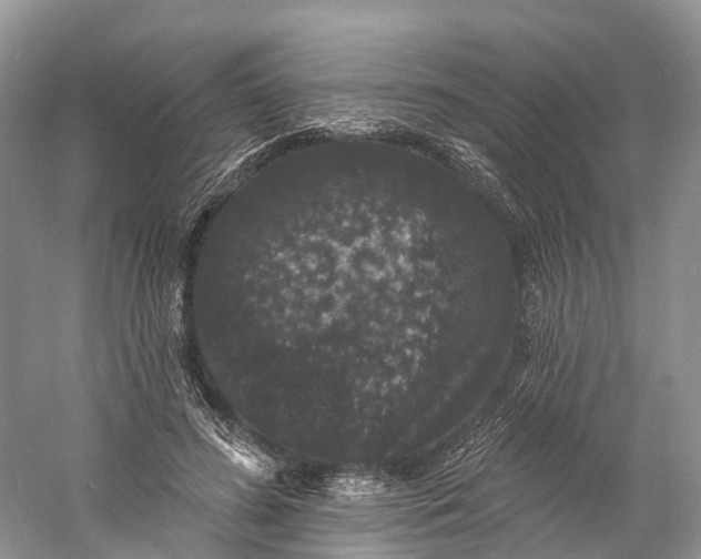 X0000060790596200512011708