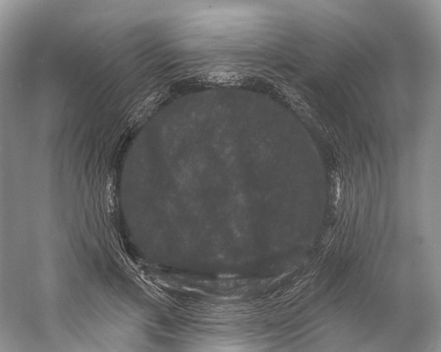 X0000060790597200512011708