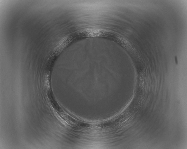 X0000060790598200512011708