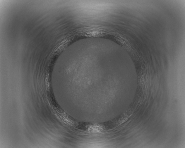 X0000060790599200512011708