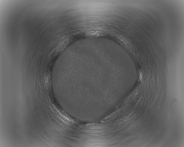 X0000060790601200512011708