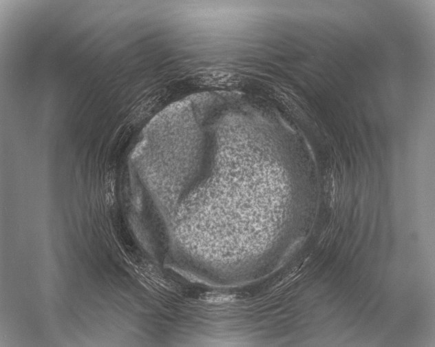 X0000060790602200512011708