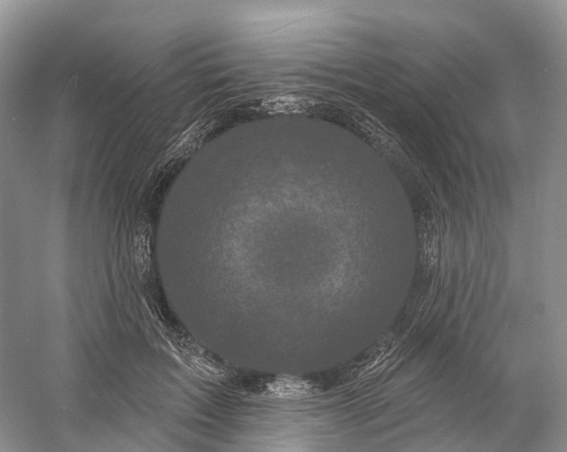 X0000060790603200512011708