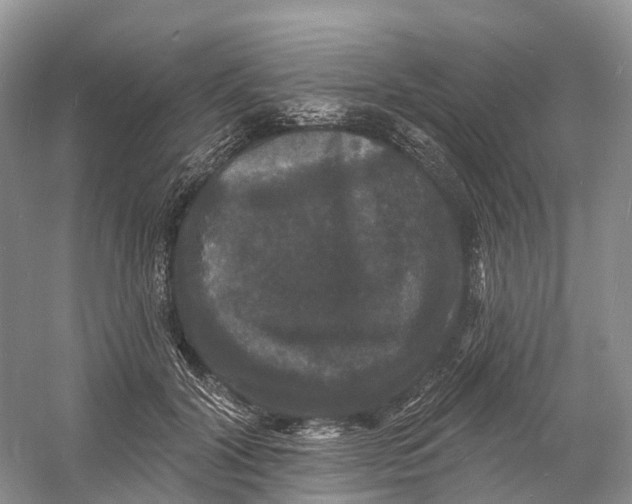 X0000060790604200512011708