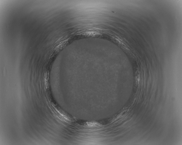 X0000060790605200512011708