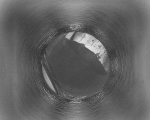 X0000060790606200512011708