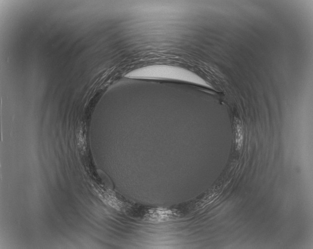 X0000060790607200512011708