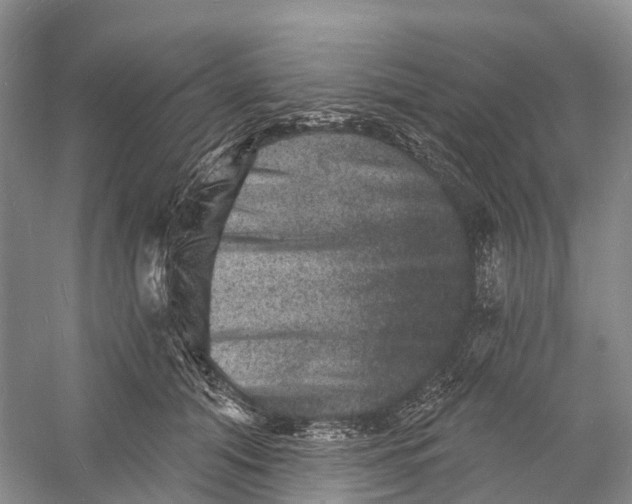 X0000060790608200512011708