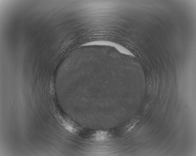 X0000060790609200512011708