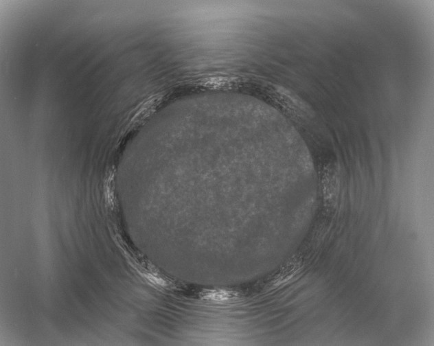 X0000060790611200512011708