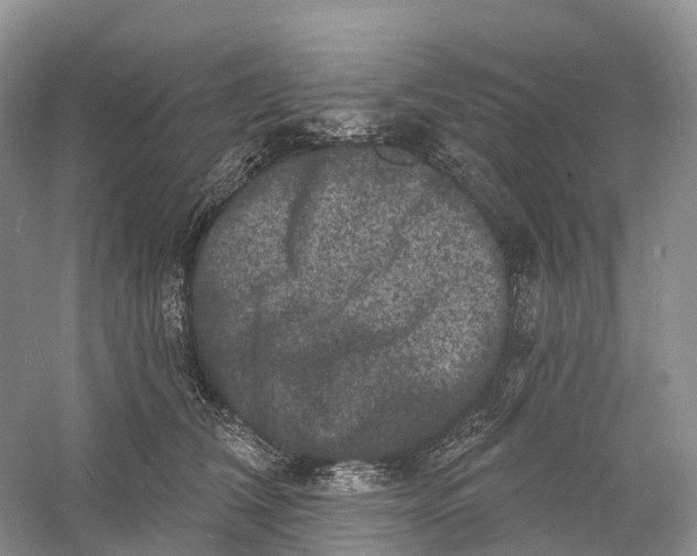 X0000060790612200512011708