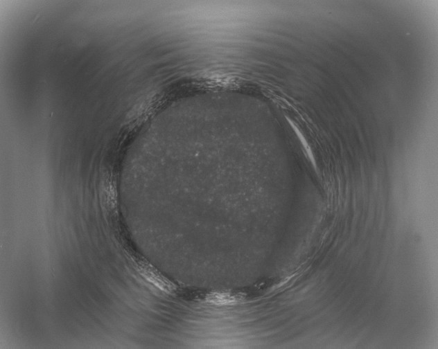 X0000060790613200512011708