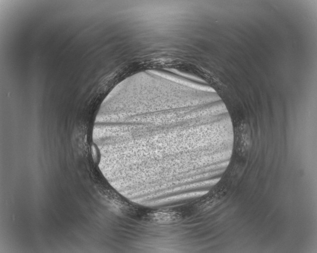 X0000060790615200512011707