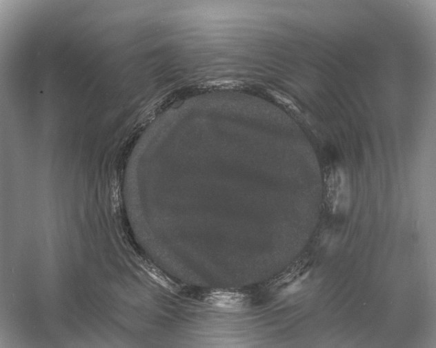 X0000060790617200512011707