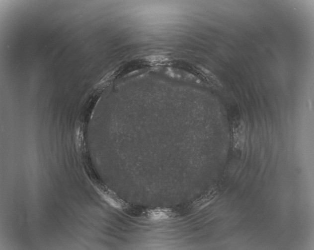 X0000060790618200512011707