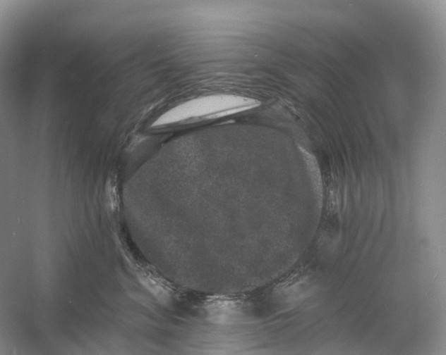 X0000060790620200512011707