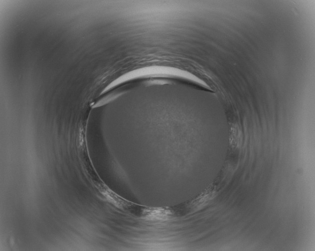 X0000060790621200512011707