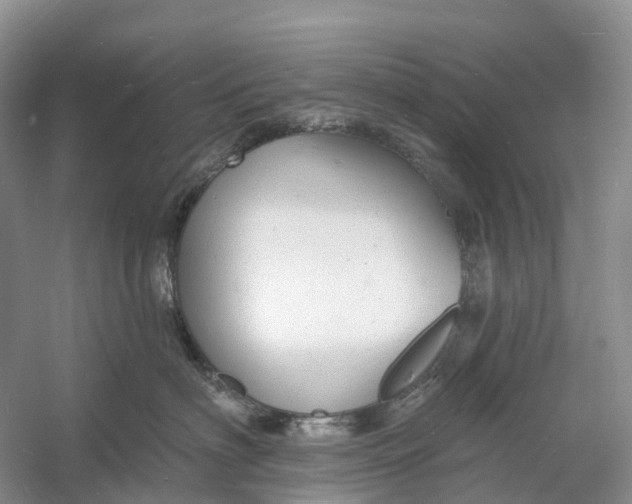 X0000060790622200512011707