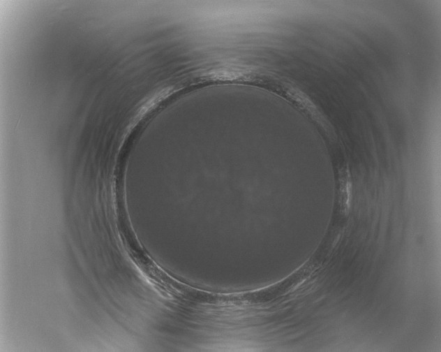 X0000060790626200512011707