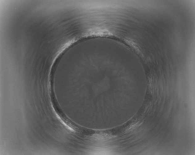 X0000060790630200512011707