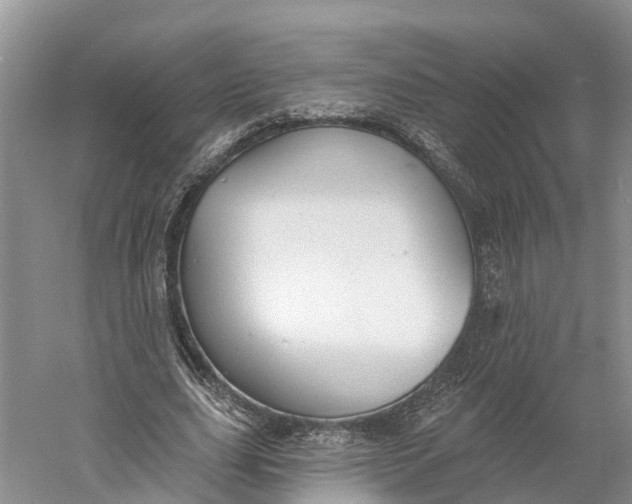 X0000060790631200512011707