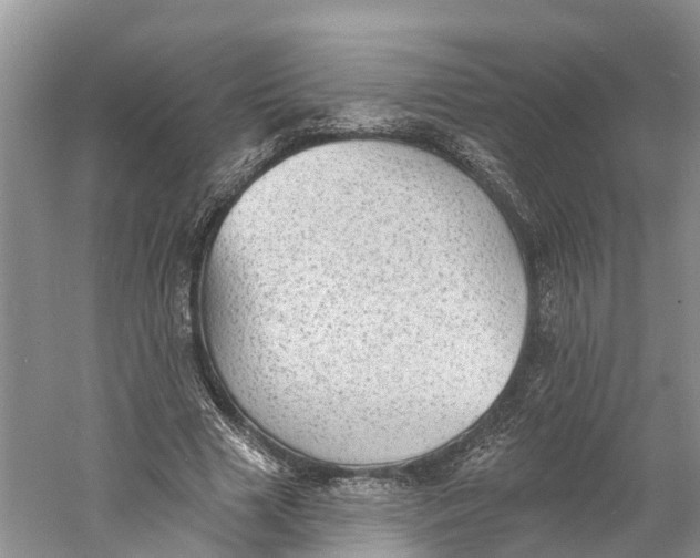 X0000060790633200512011707