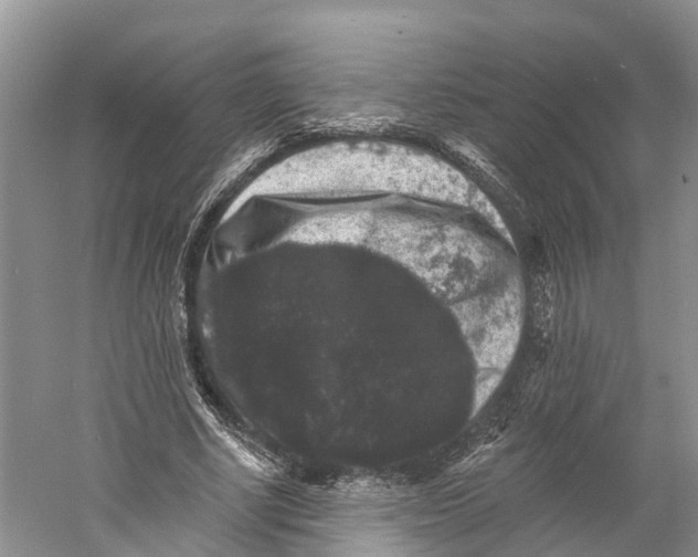 X0000060790634200512011707