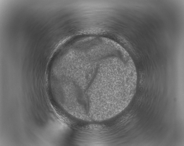 X0000060790636200512011707