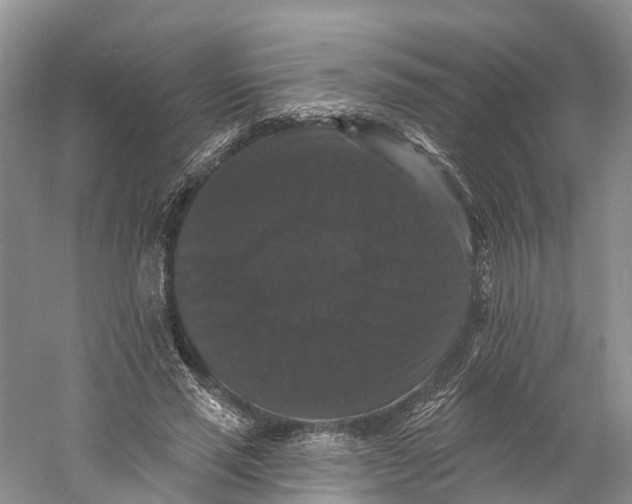 X0000060790637200512011707