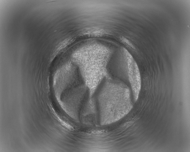 X0000060790638200512011707