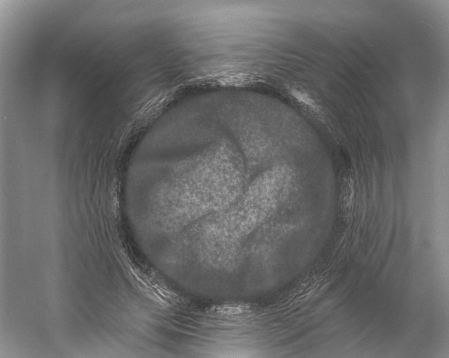 X0000060790639200512011707