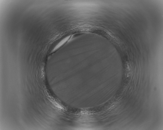 X0000060790641200512011707