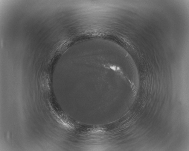 X0000060790643200512011707