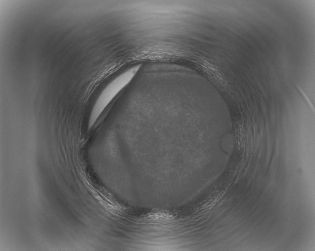 X0000060790644200512011707