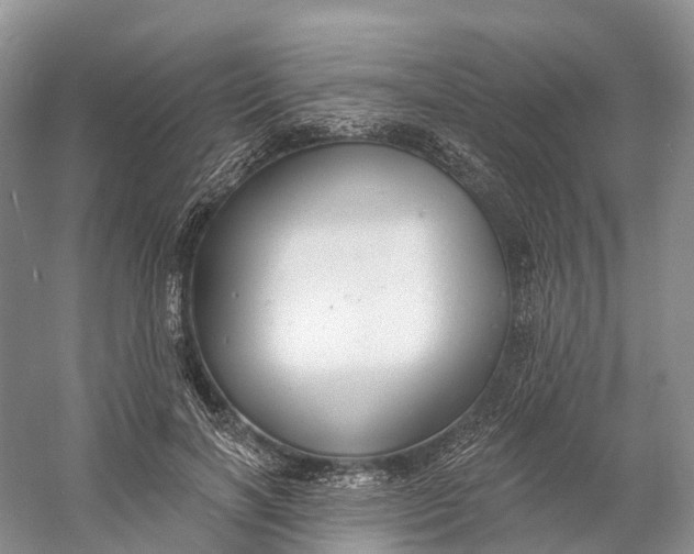 X0000060790646200512011707